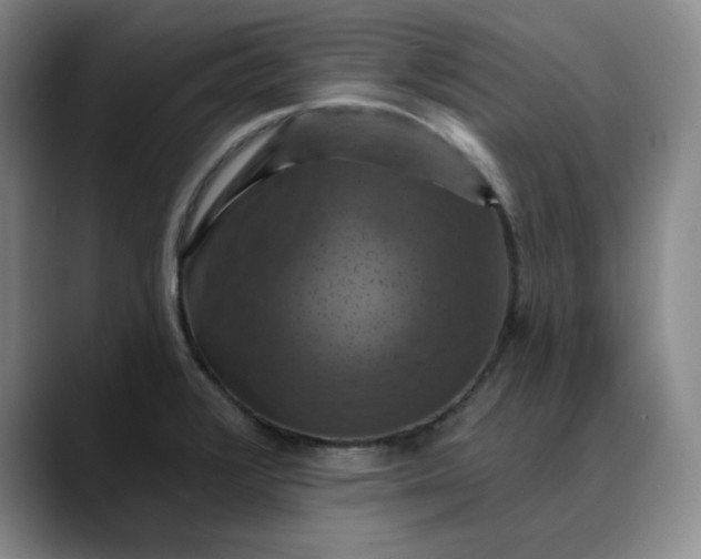 X0000088691376200706141404