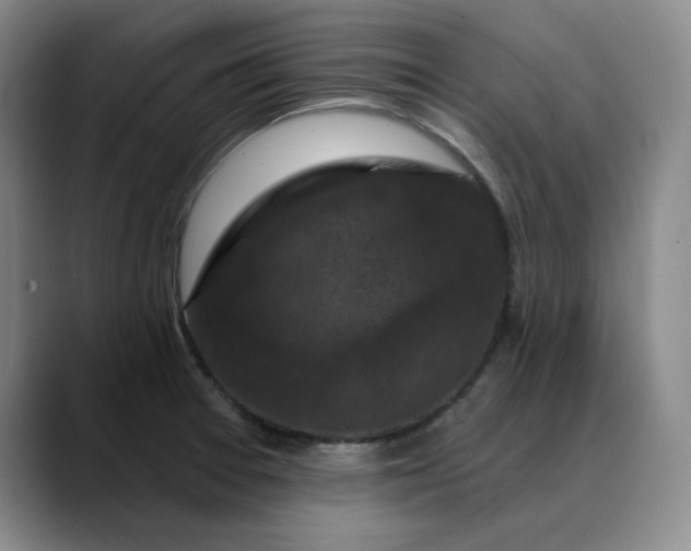 X0000088691377200706141404