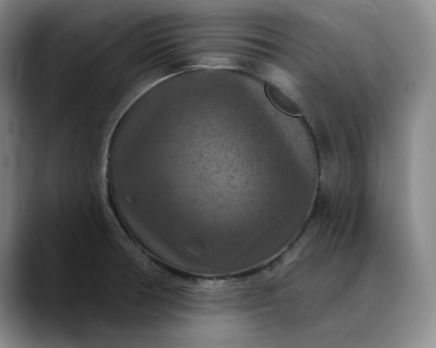 X0000088691378200706141404