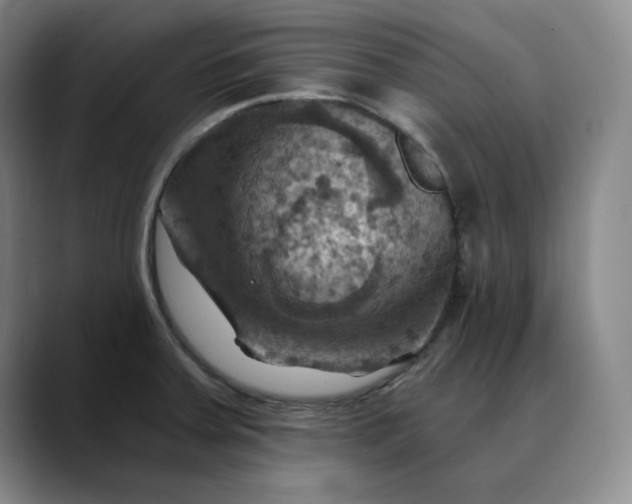 X0000088691379200706141404