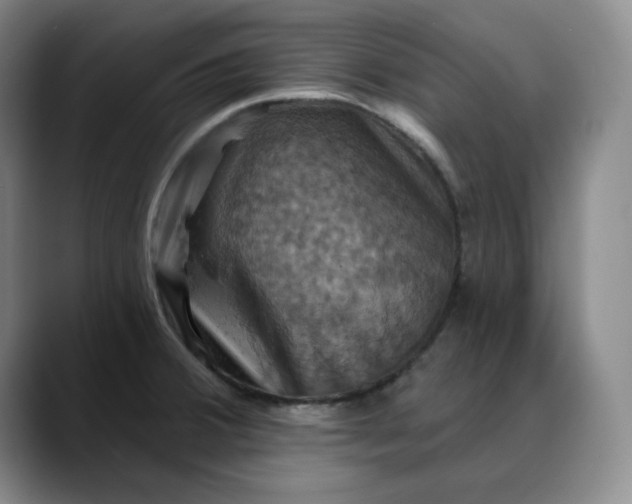 X0000088691380200706141404
