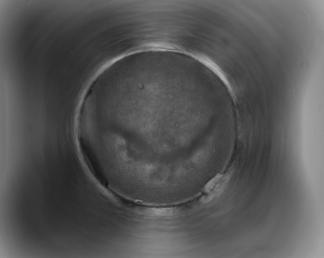 X0000088691381200706141404