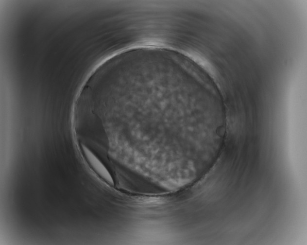 X0000088691382200706141404