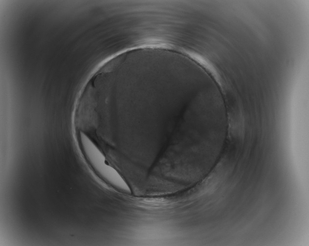 X0000088691383200706141404