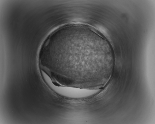 X0000088691384200706141404