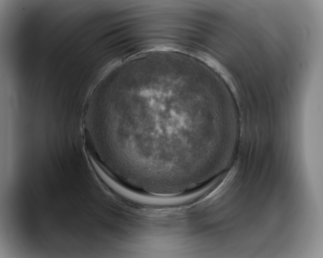 X0000088691385200706141404