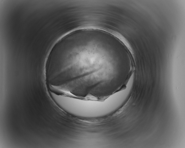X0000088691388200706141404