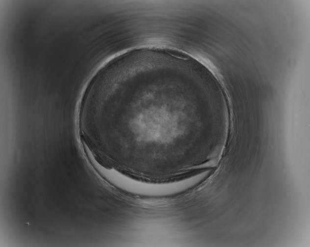 X0000088691392200706141404