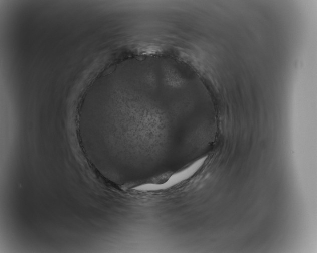 X0000088691393200706141404