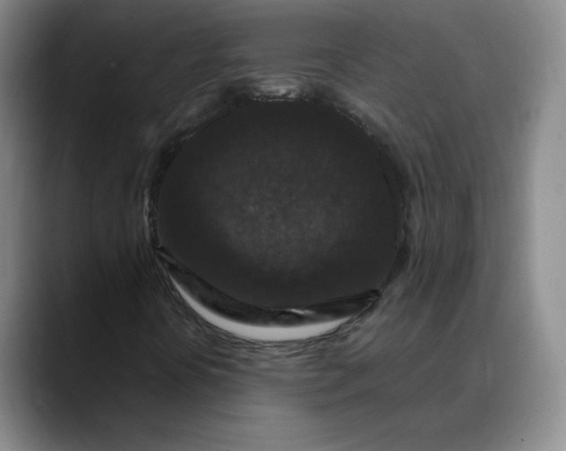X0000088691394200706141404