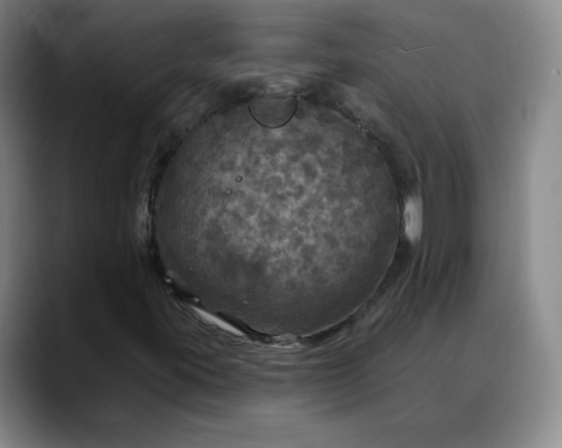 X0000088691395200706141404
