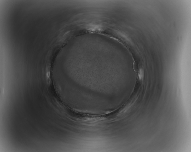 X0000088691396200706141404