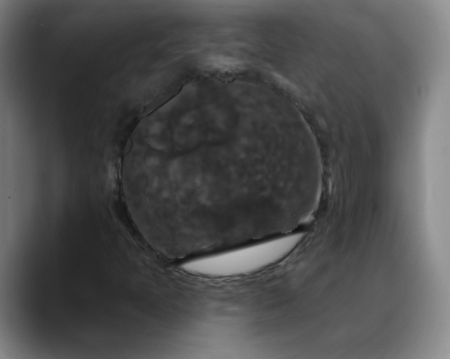 X0000088691397200706141404
