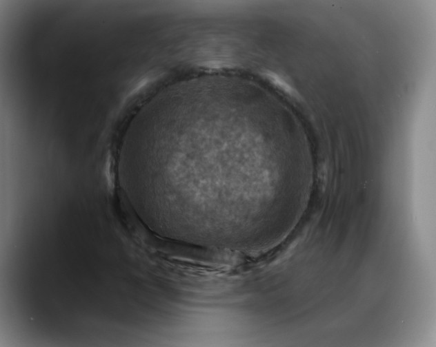 X0000088691398200706141404