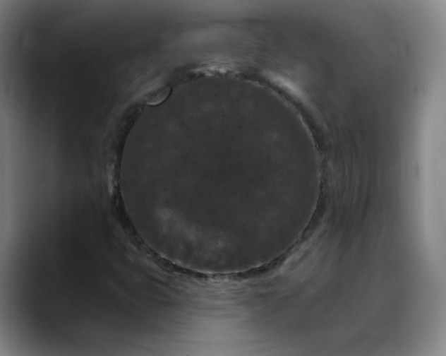 X0000088691399200706141404