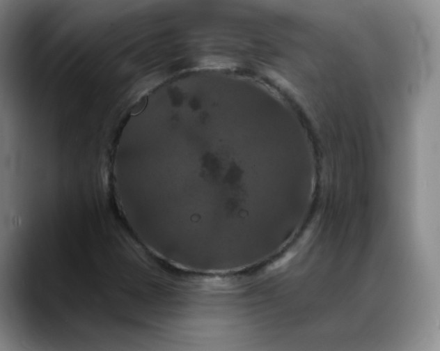 X0000088691401200706141404