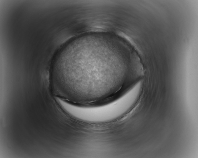 X0000088691402200706141404