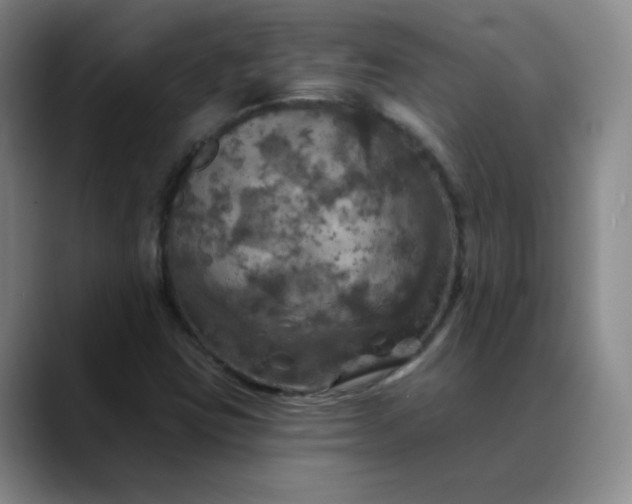 X0000088691403200706141404