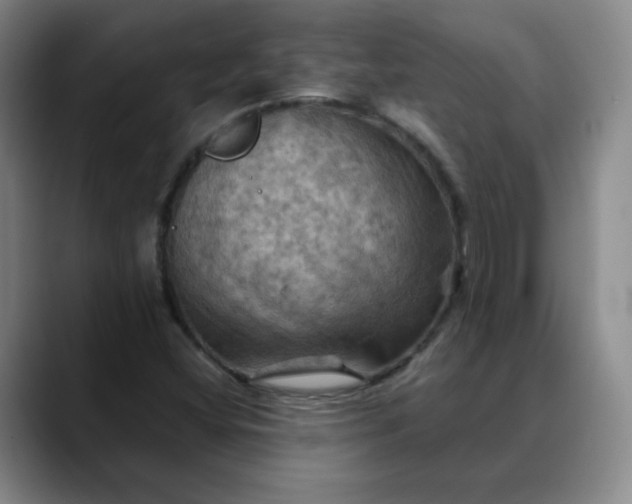 X0000088691404200706141404