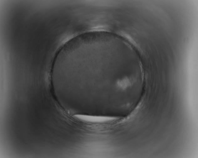 X0000088691405200706141404