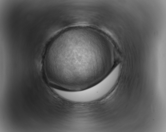 X0000088691406200706141404