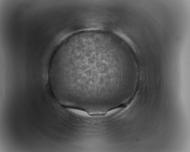 X0000088691407200706141404