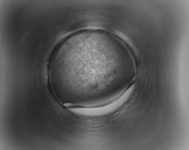 X0000088691408200706141404