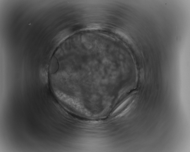 X0000088691409200706141404