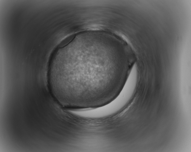 X0000088691410200706141404