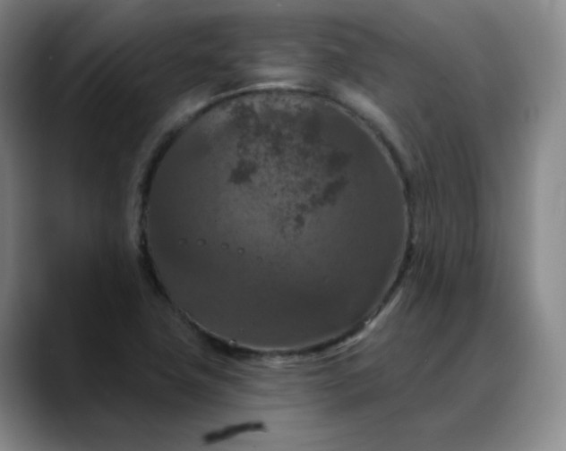 X0000088691411200706141404