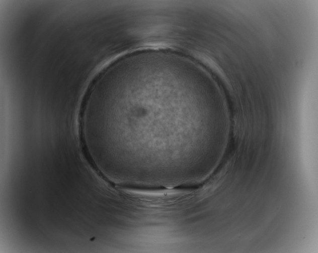 X0000088691412200706141404
