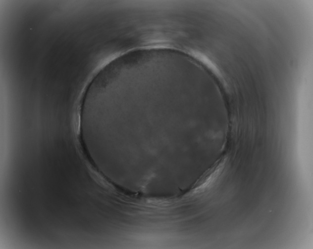 X0000088691413200706141404