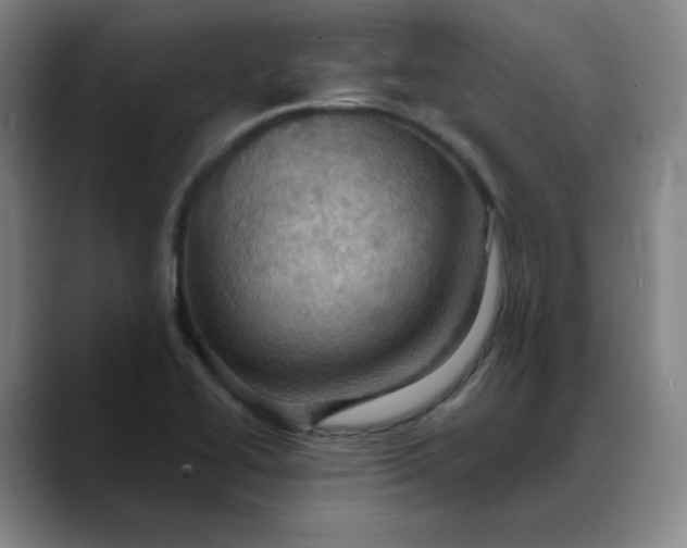 X0000088691414200706141404
