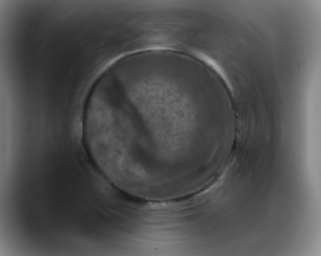 X0000088691415200706141404