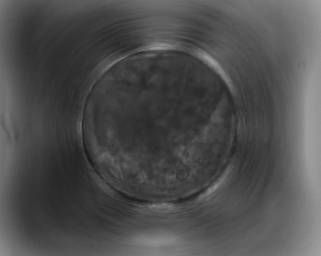 X0000088691417200706141404