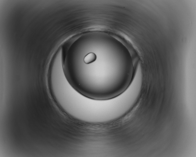 X0000088691418200706141404