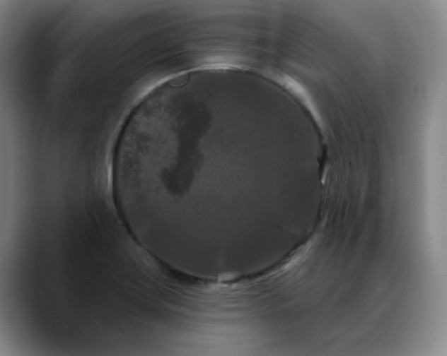 X0000088691419200706141404