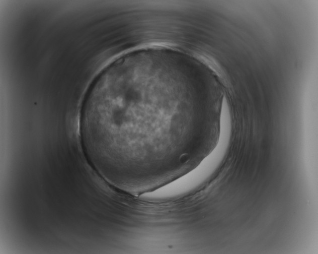 X0000088691420200706141404