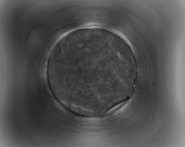 X0000088691421200706141404