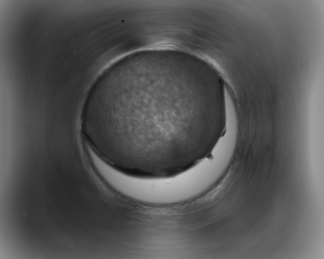 X0000088691422200706141404