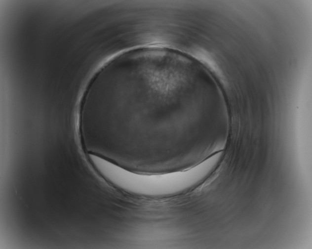 X0000088691424200706141404