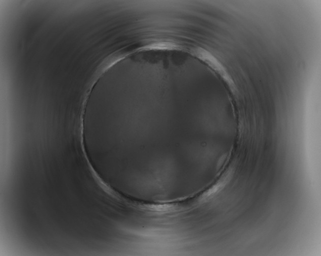 X0000088691425200706141404