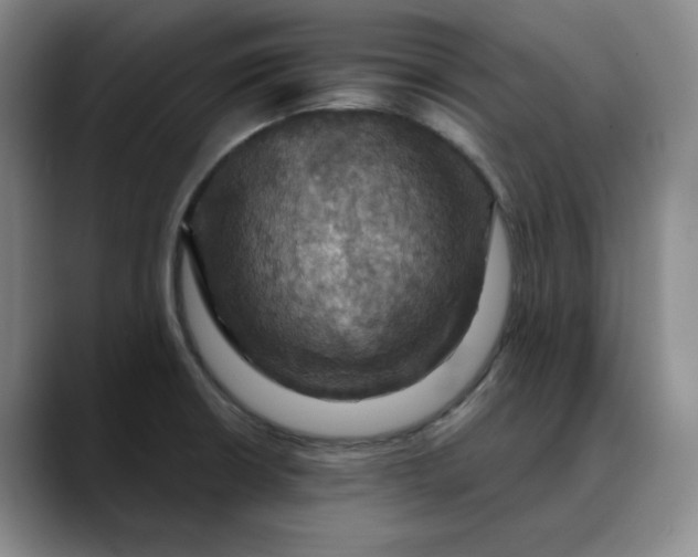 X0000088691426200706141404