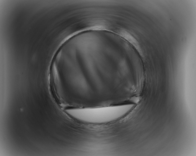 X0000088691428200706141404