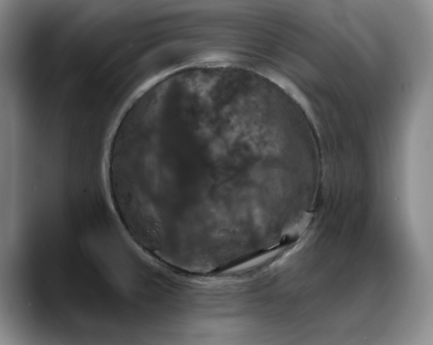X0000088691429200706141404