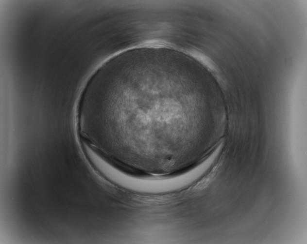 X0000088691430200706141404