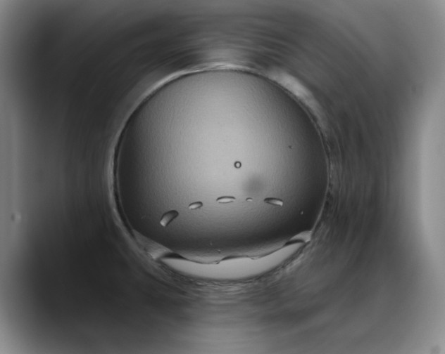 X0000088691431200706141404
