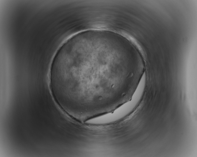 X0000088691432200706141404