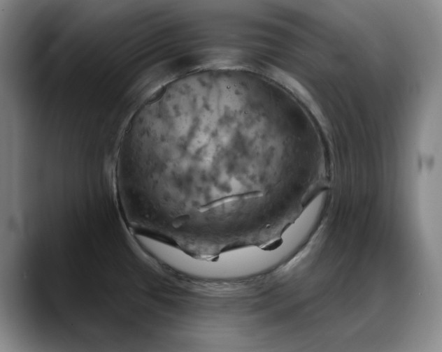X0000088691433200706141404