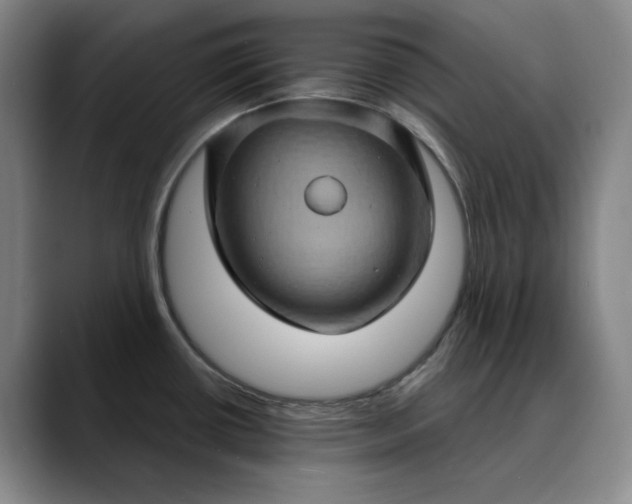 X0000088691434200706141404